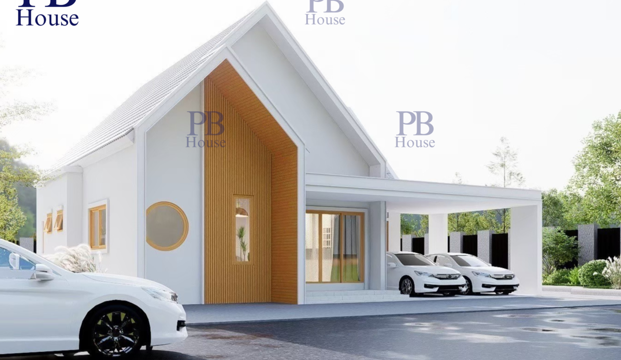PB-N1 (4)