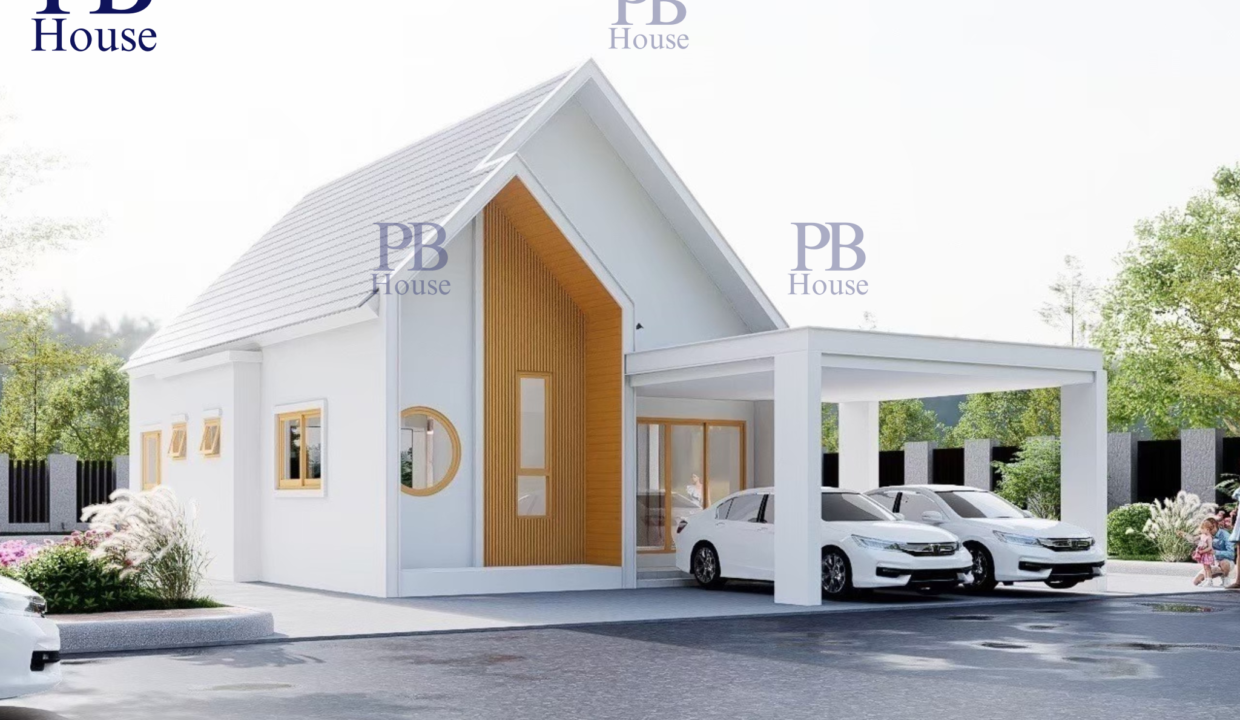 PB-N2 (3)