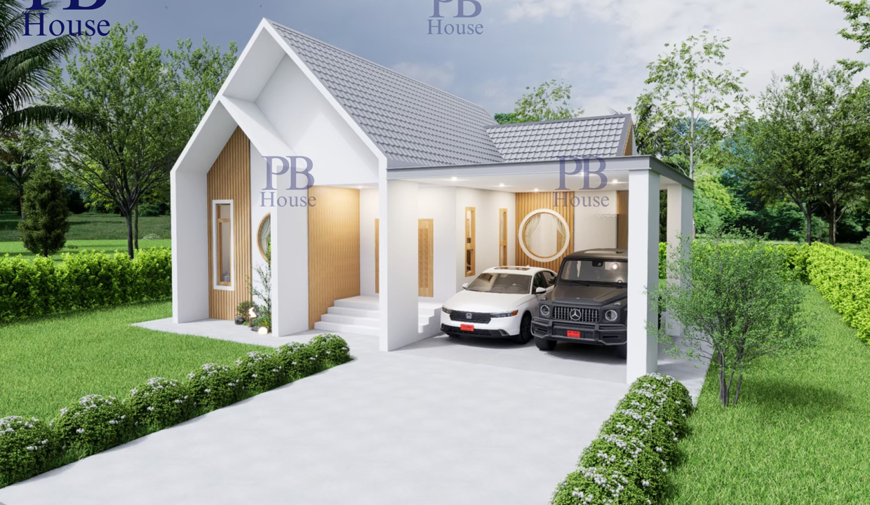PB-N5 (4)
